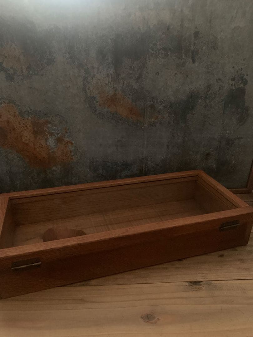 Ｉ・ ガラスケース 桜の木の手彫りシェードランプ