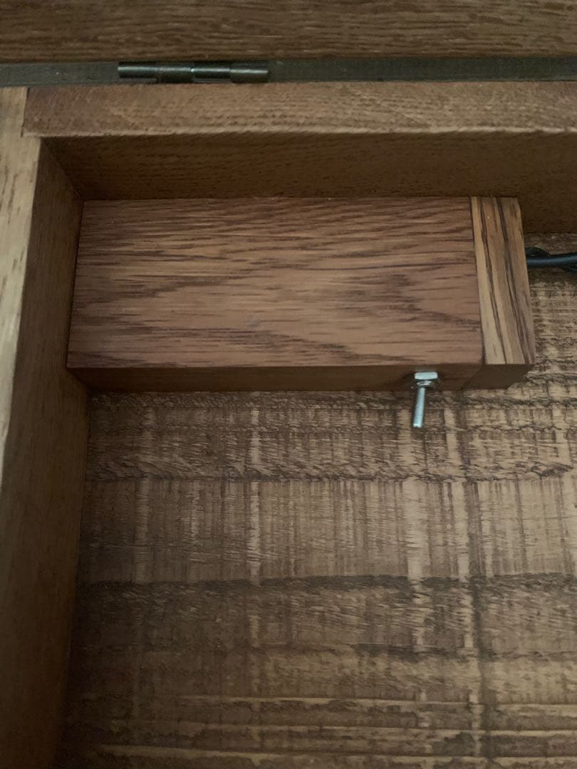 Ｉ・ ガラスケース 桜の木の手彫りシェードランプ