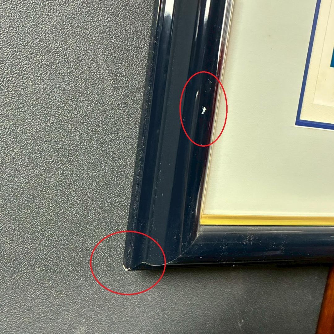 ヒロ・ヤマガタ「星影のステラ」シルクスクリーン 大作 直筆サイン入り 額縁入り