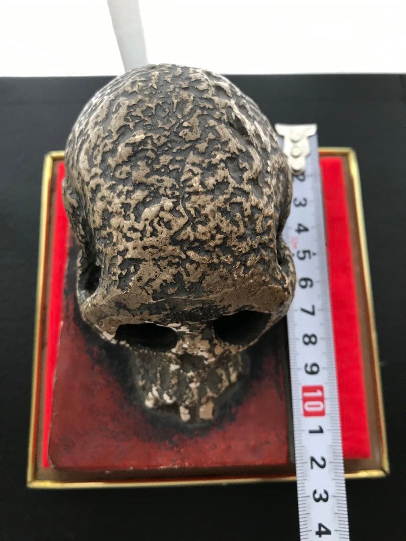 希少 京焼 野晒し髑髏 ドクロ 在銘 置物 陶器 昭和 骨董 珍品 レア