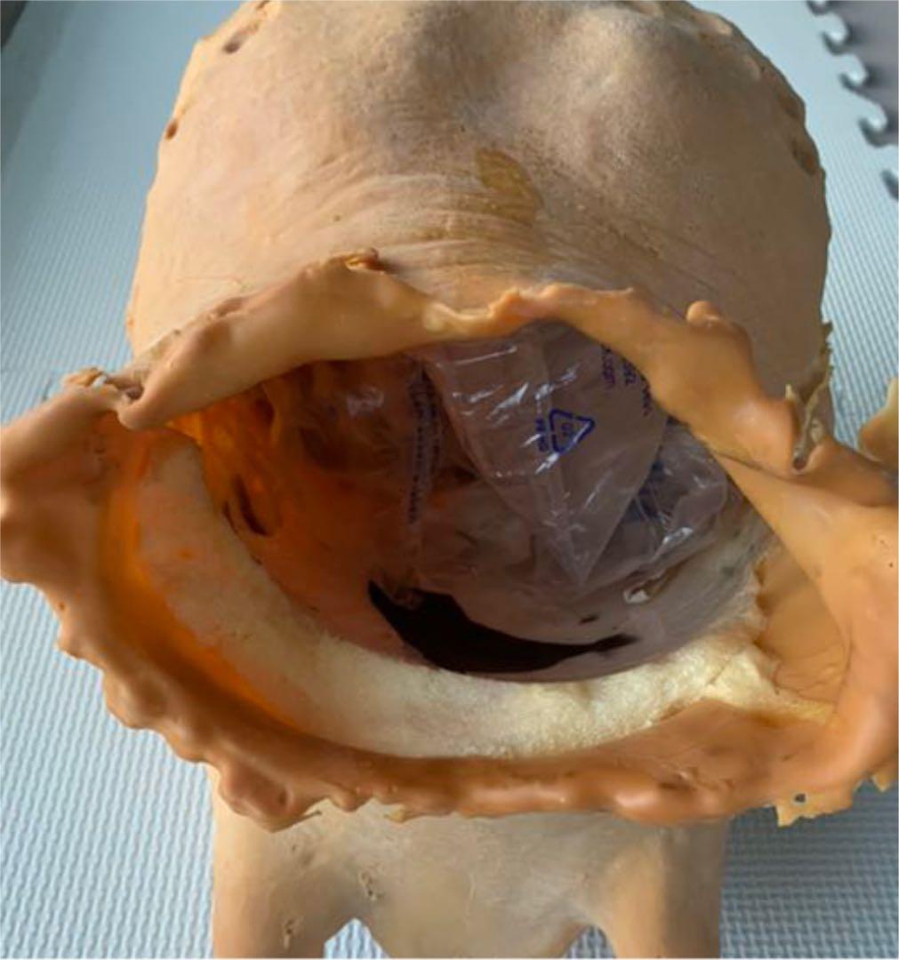 プレデター　1/1ヘッド　プロップレプリカ