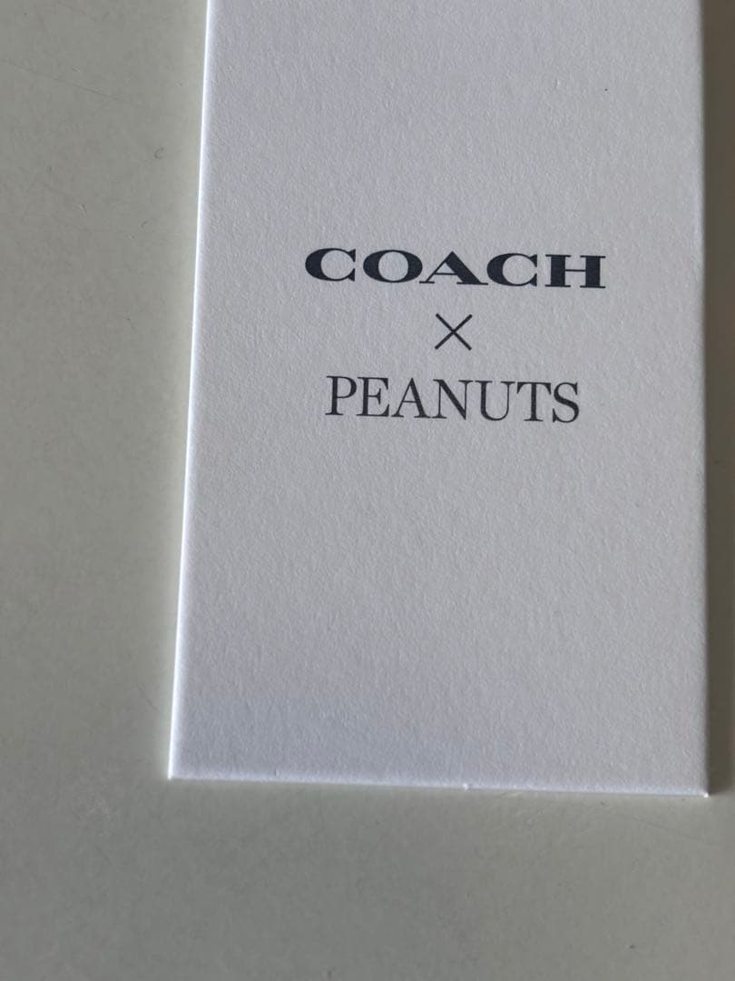 ⭐︎新品タグ付⭐︎【限定】COACH スヌーピー ポーチ/ペンケース