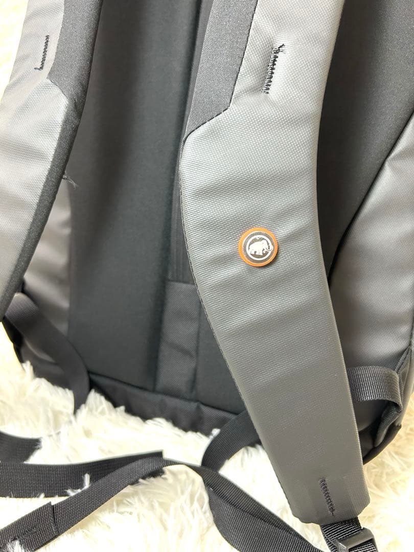 マムート セオントランスポーター 25L バッグパック