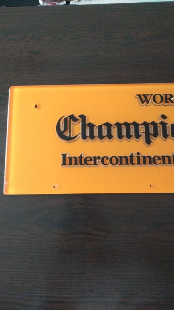 非売品 WCCFゲーム筐体パネル 2010-2011 限定、絶版 インテリア