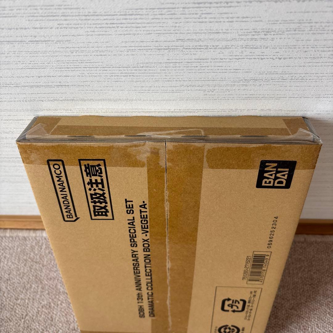 13th ANNIVERSARY SPECIAL SET 13周年アニバーサリー