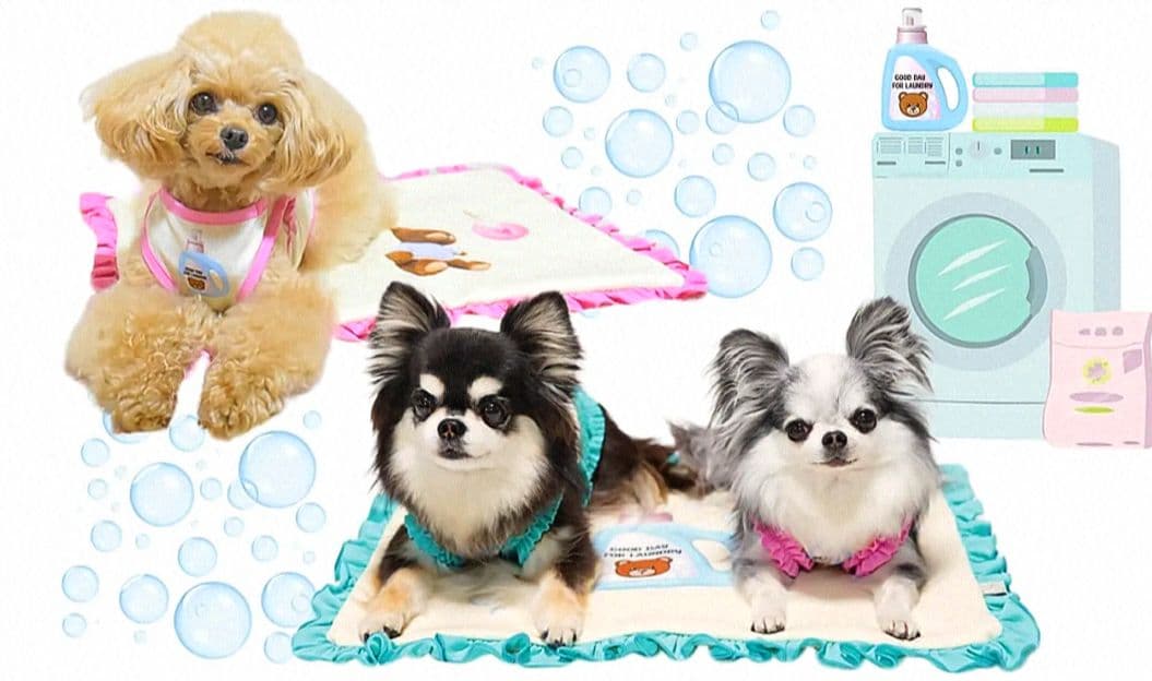 D Laundry Bearフリルタンク＆マット セット　circusサーカス