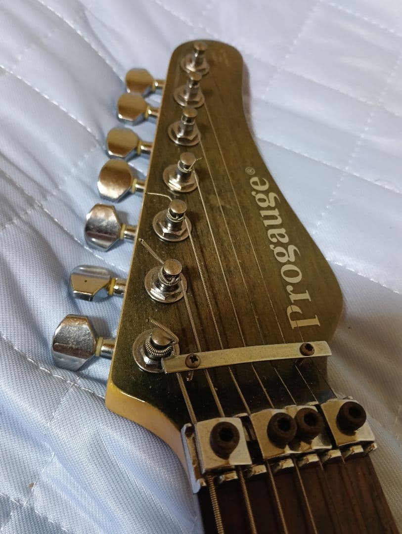 シェクター7弦ギター by progaeuge(プロゲージ)