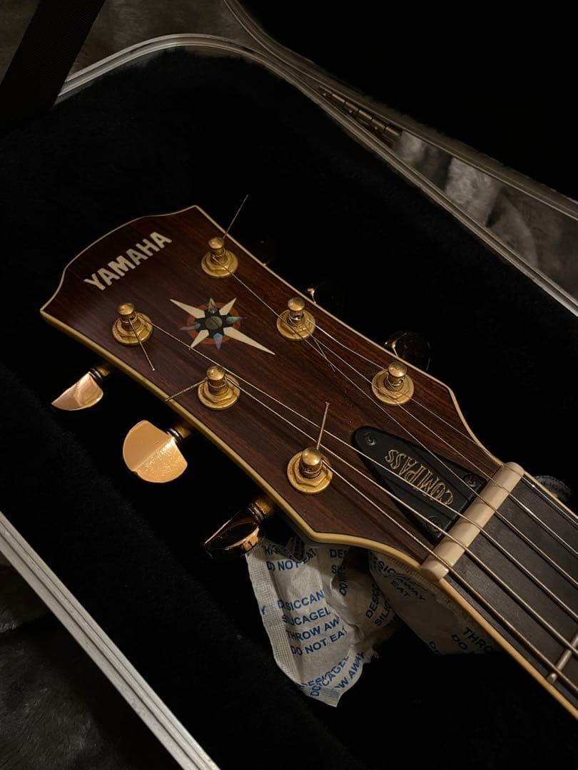 【希少】YAMAHA CPX-15E Compass series