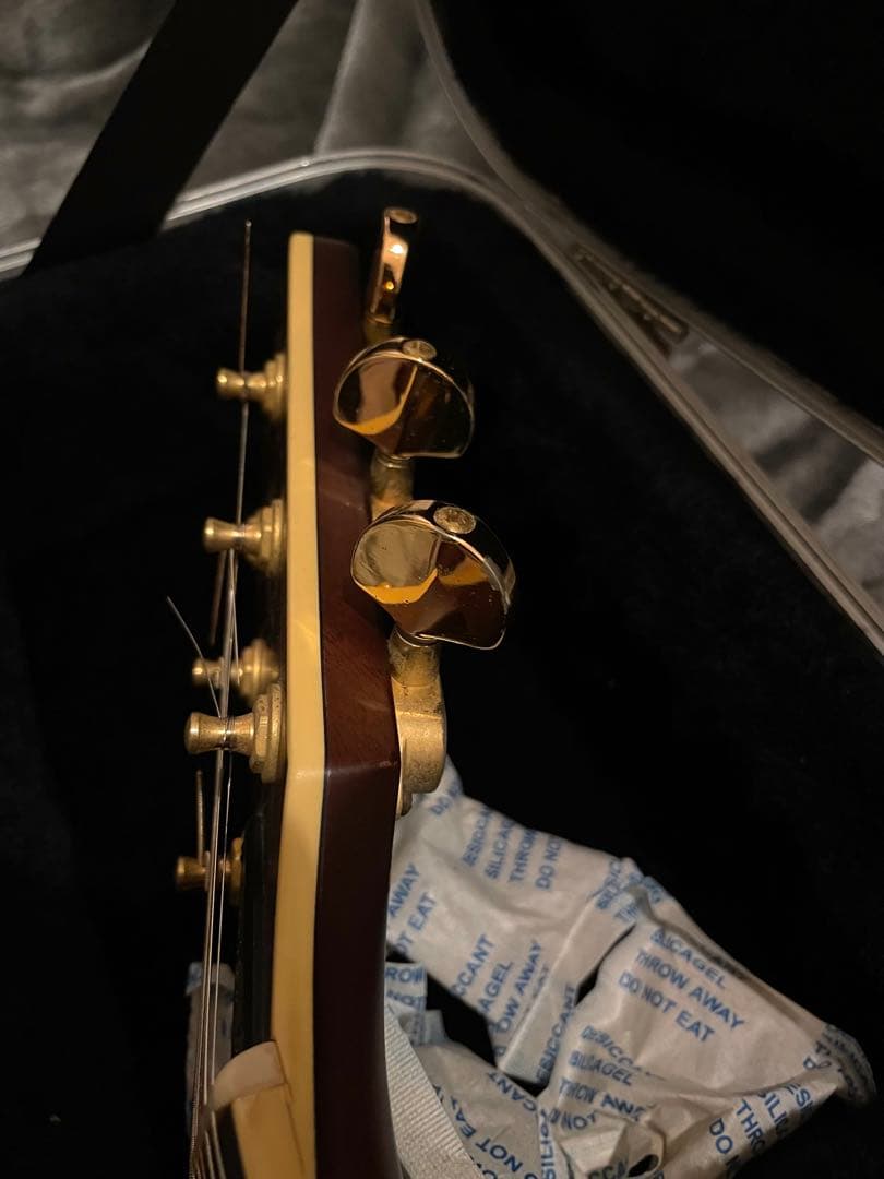 【希少】YAMAHA CPX-15E Compass series