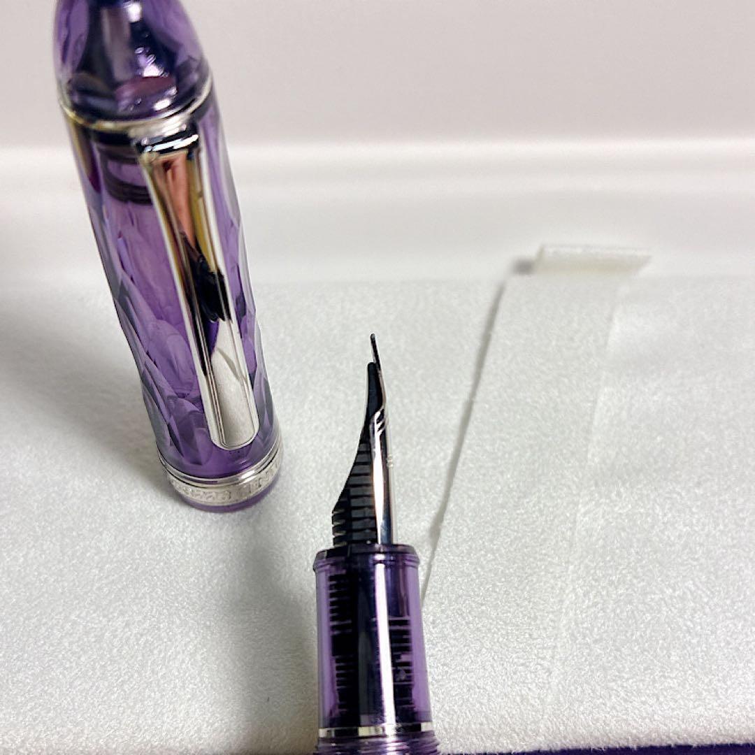 F プラチナ万年筆 紫雲 #3776 センチュリー