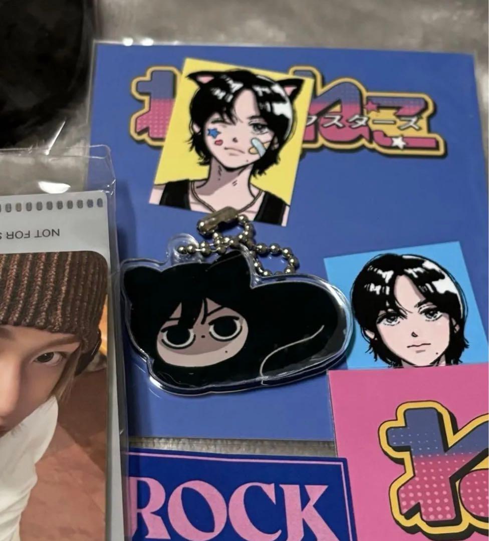 ウォンビン アクキー　センイル　トレカ ケース　缶バッジ　ファンクラブ FC