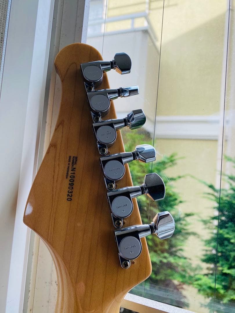 ギターSelva Telecastder