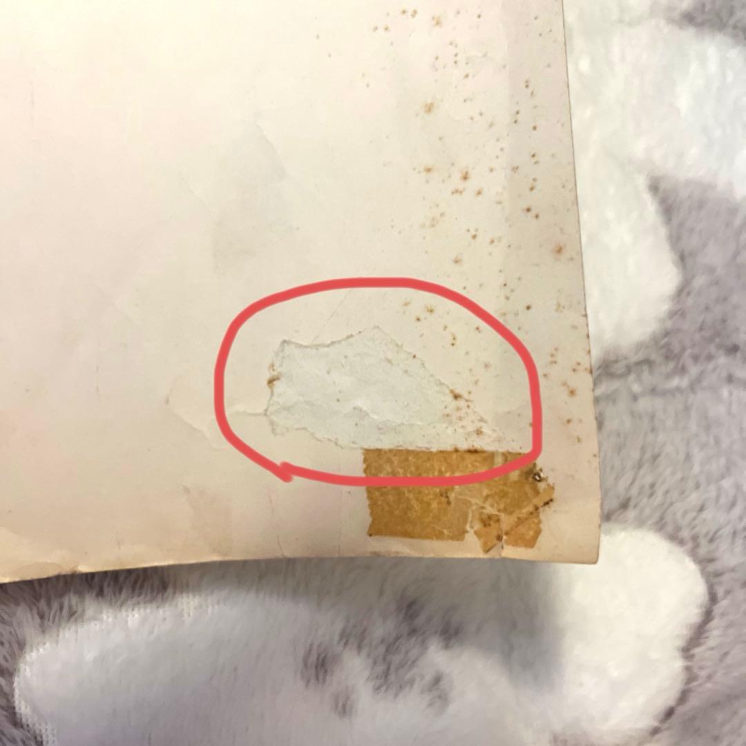 超時空要塞マクロス 愛・おぼえていますか大型ポスター