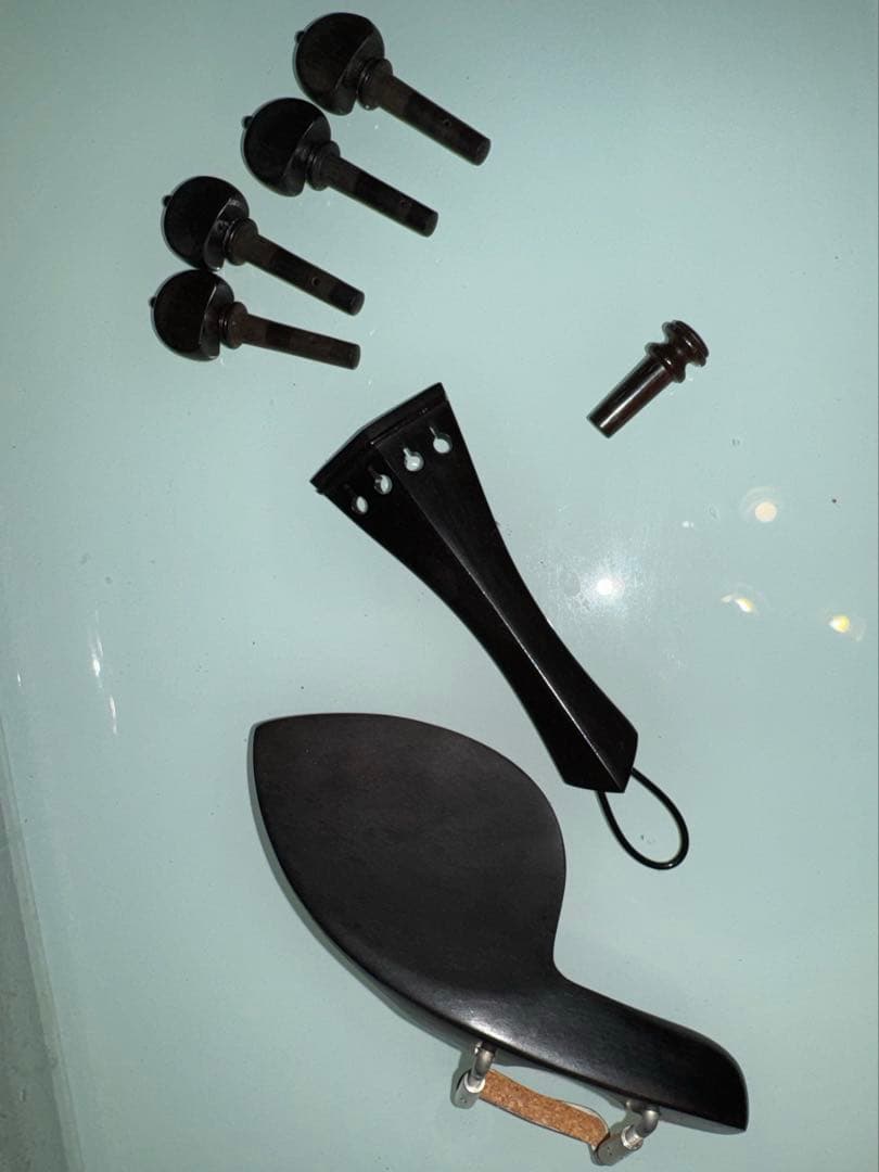 greenlab⚠️バイオリンフィッティング　ジョルジオスコラーリ純正