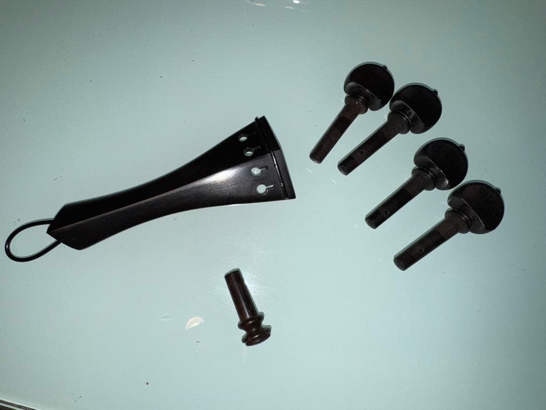 greenlab⚠️バイオリンフィッティング　ジョルジオスコラーリ純正