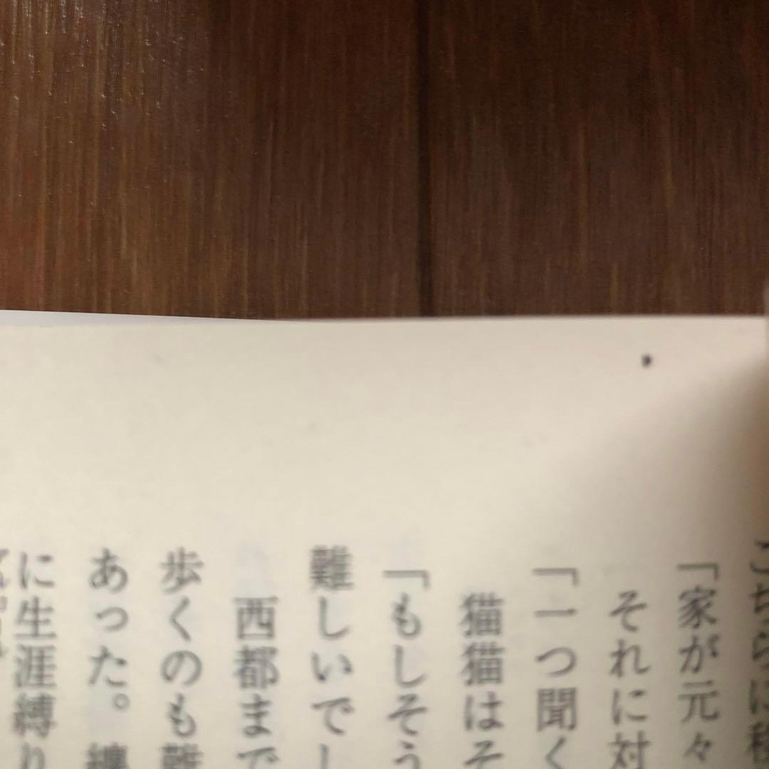 小説「薬屋のひとりごと」1巻〜16巻ヒーロー文庫