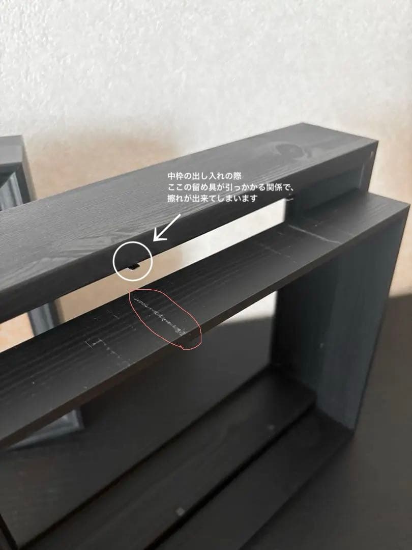 標本　フレーム　昆虫　植物　標本箱　シーラー