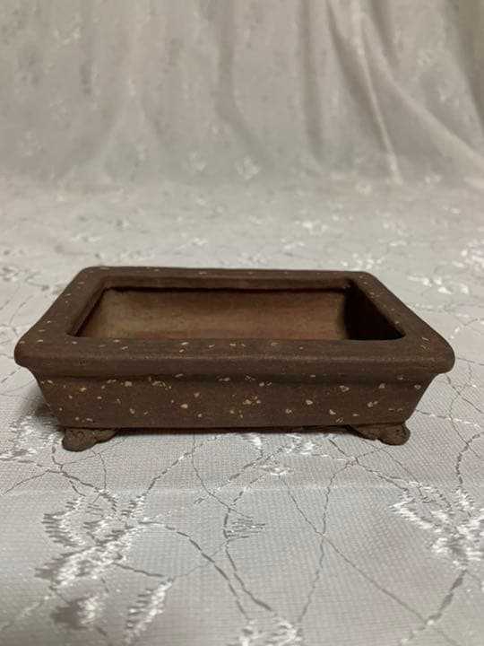 東福寺　長方　人気鉢！