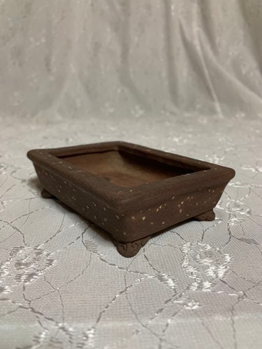 東福寺　長方　人気鉢！