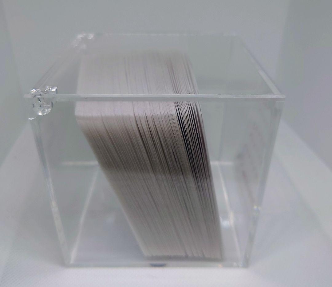 ぶどう　100DaysSavingChallengeBOX