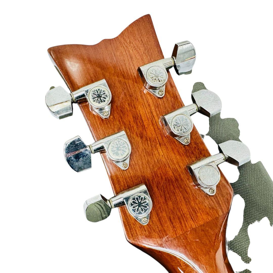 DAISY ROCK エレアコ　6280