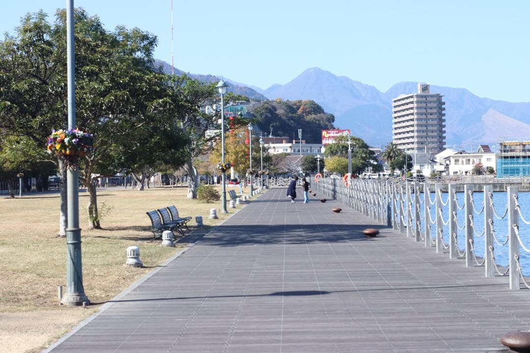 ★ OLYMPUS OM-2N + 標準レンズ 50mm