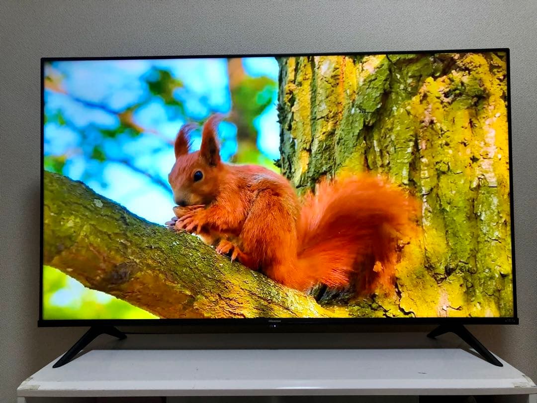 ハイセンス 50V型 液晶テレビ 4Kチューナー内蔵 50E6G 動画アプリ搭載