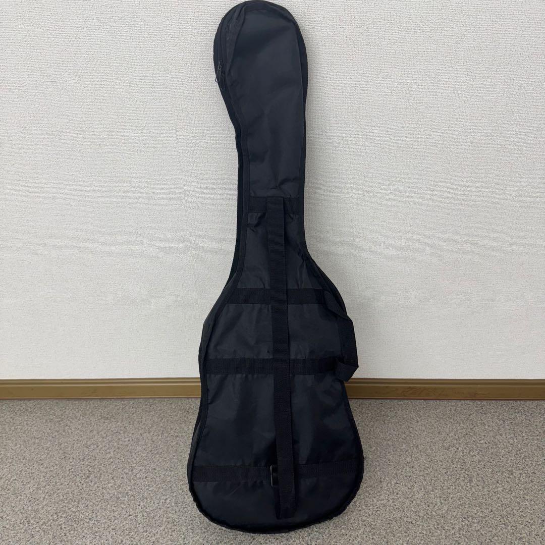 エレキギター　ケース付き