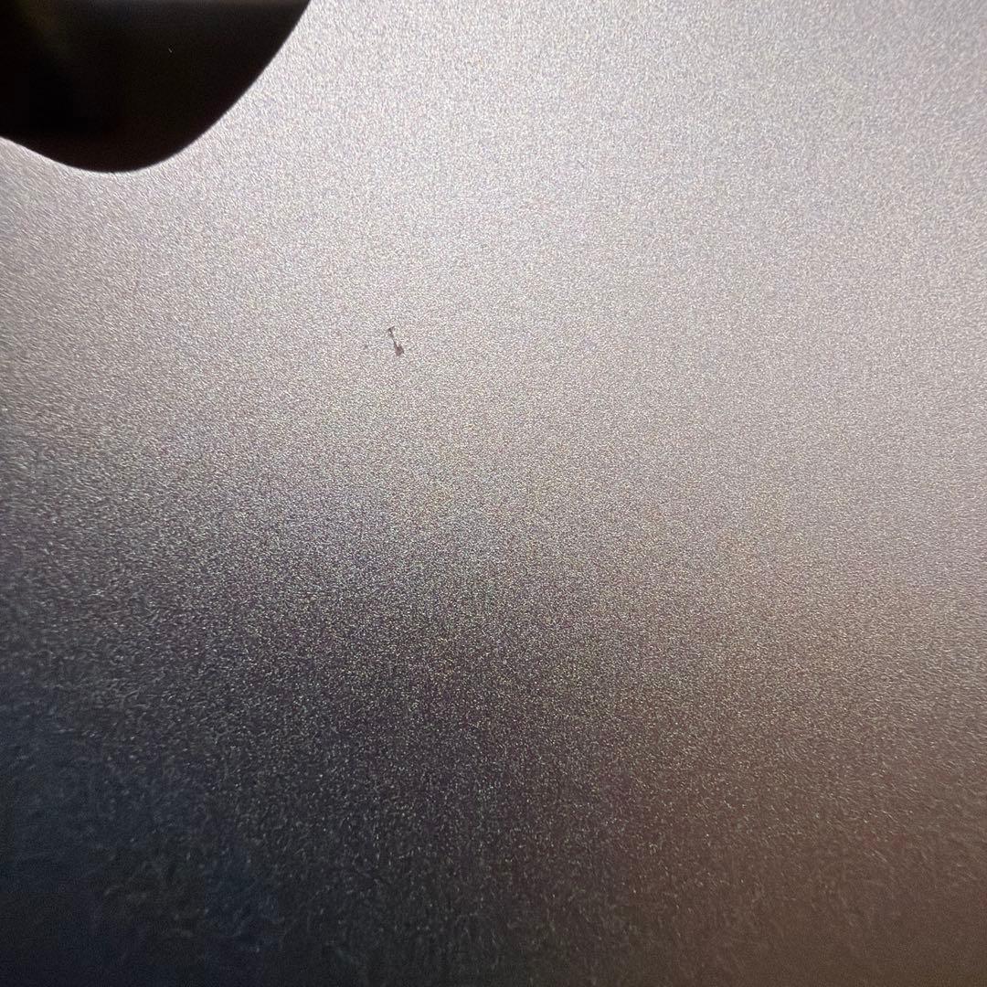 iPad Pro 12.9インチ 第6世代 256GB セルラー