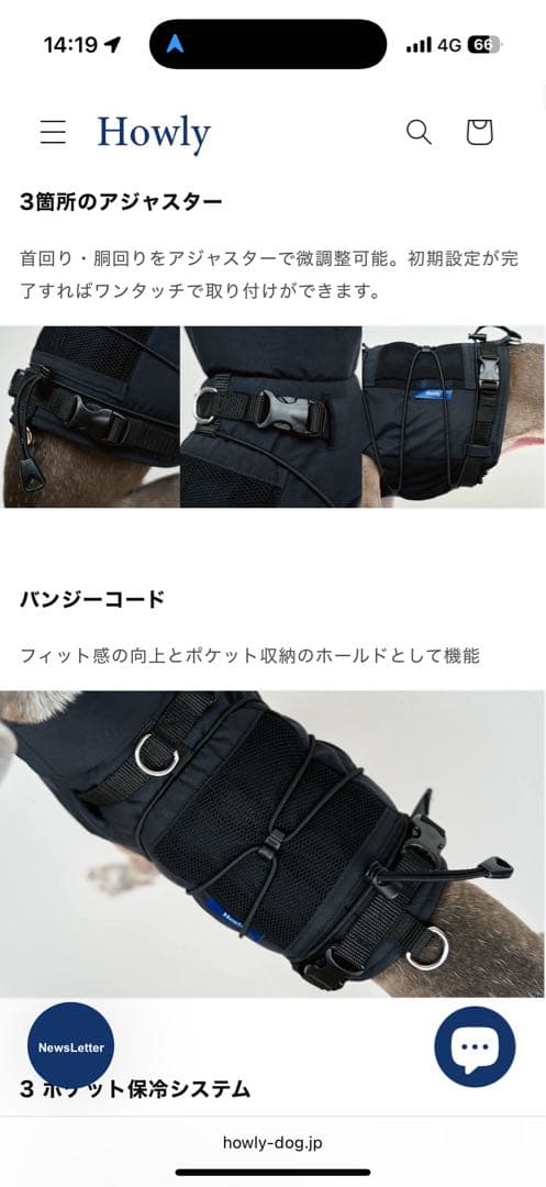 【Mサイズ黒】 試着のみHowly FRAME-X ADV HARNESS