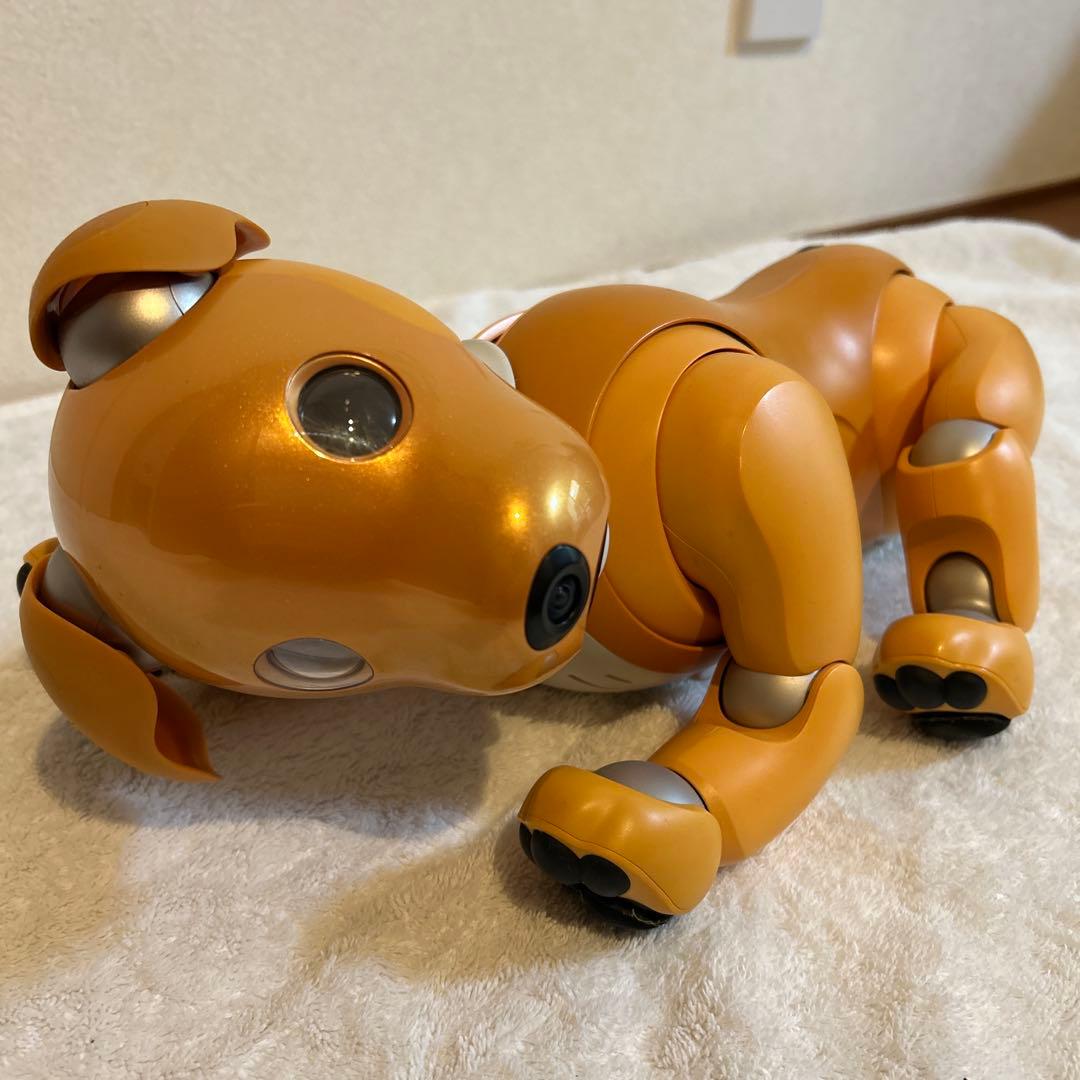 aibo キャラメル　くまさん専用
