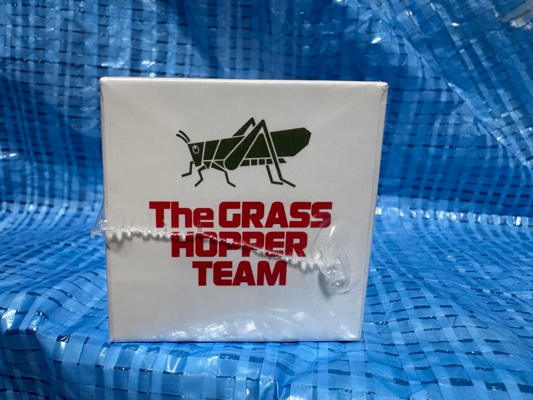 街道ハウス　グラスホッパーNissan Skyline GT-R (R34)