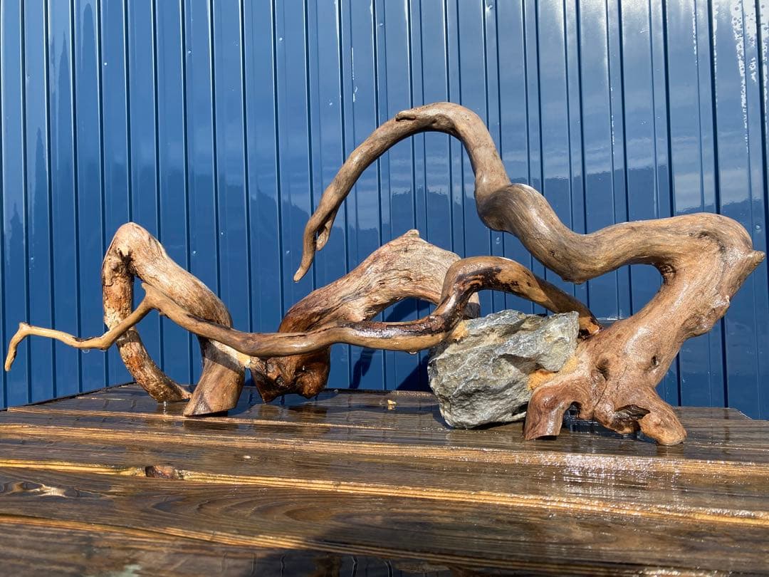 流木レイアウト 超大型　A862