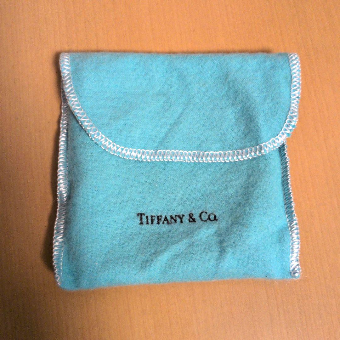 TIFFANY レザーケース ティファニー　ポーチ付