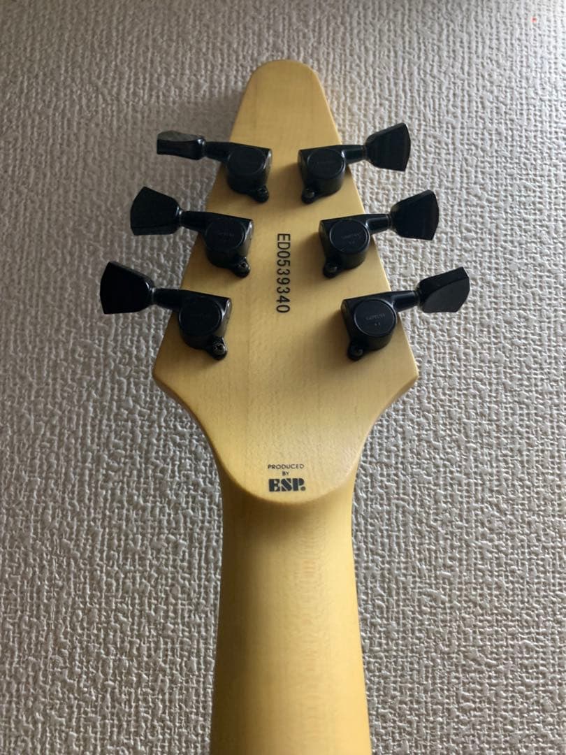 【未使用】フライングTV THE SKULL EDWARDS 高見沢モデル