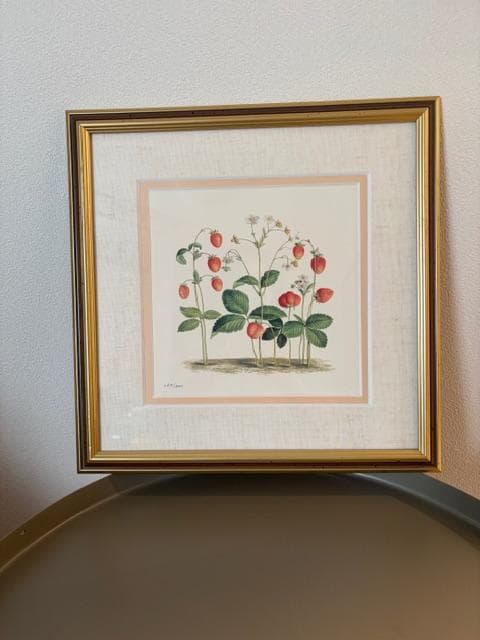 限定2000円OFF ロンドンV&A　フラワーアート　2点　額装＆マット付き