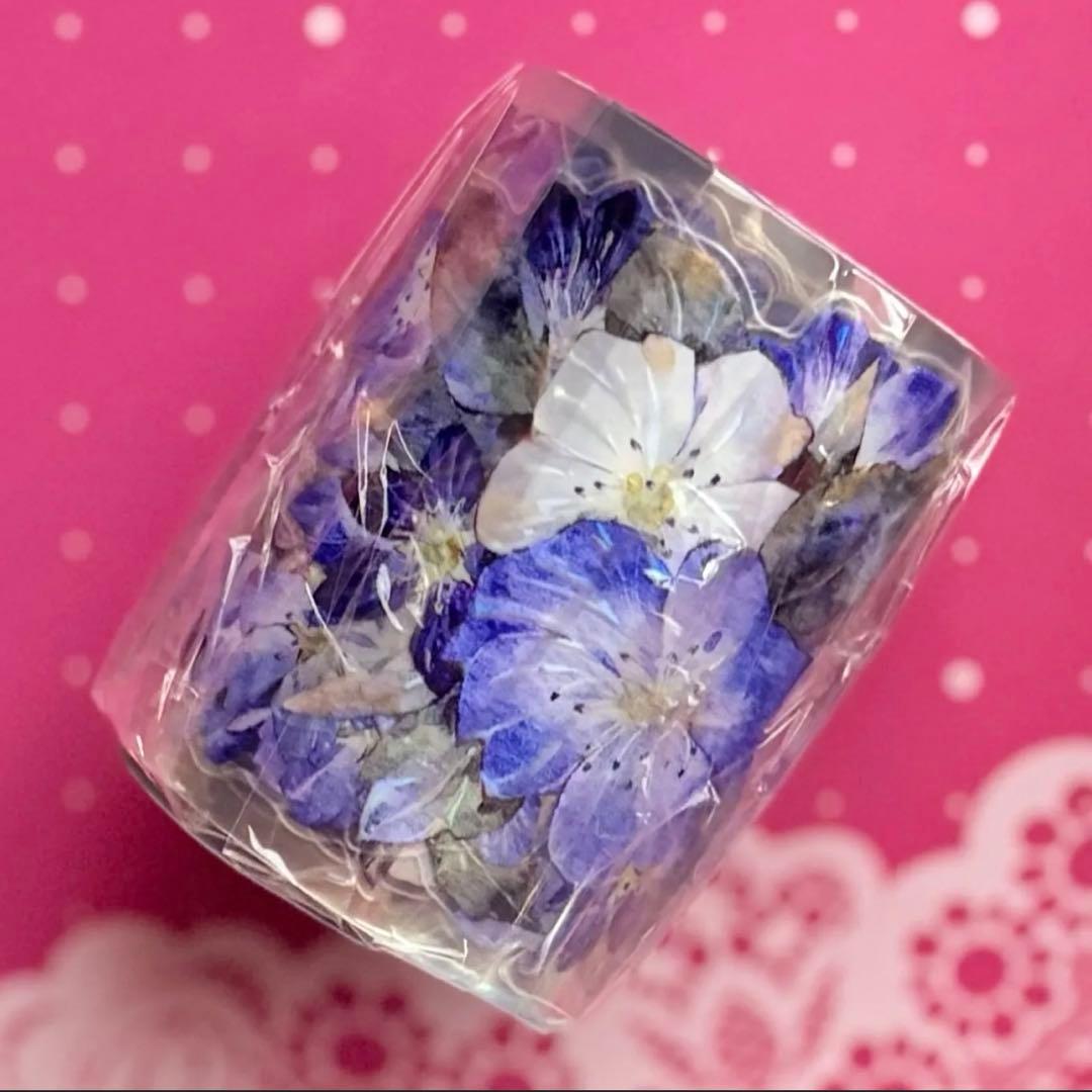 贝壳光 澜屿 ダイカット加工 5.5cm×6m 海外マステ　花