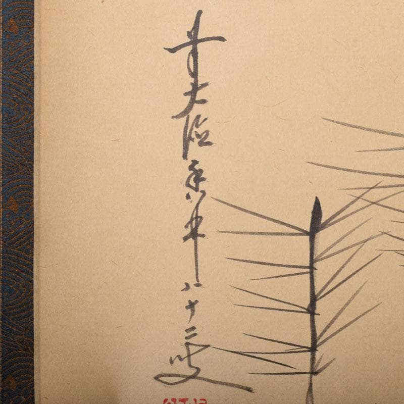 掛軸　前大徳　大橋香林筆　「寿に若松の図」　紫野　細合喝堂識箱　C　6852A