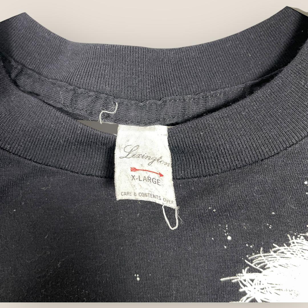 80s アインシュタイン　ヴィンテージT 偉人　アート　USA製　希少