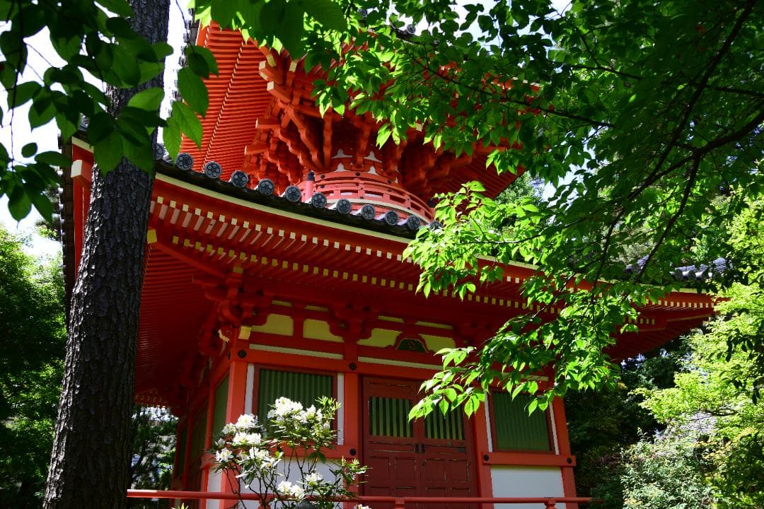 シグマ 18-50mm F2.8 EX DC MACRO HSM ニコン用