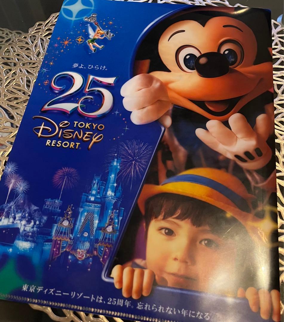 ディズニー⭐︎25周年限定⭐︎クリアファイル