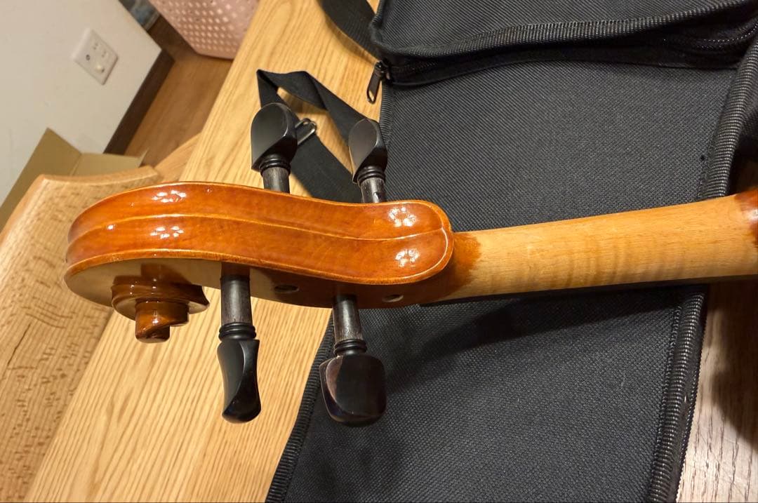 Andreas Eastman イーストマン　VL80 3/4 2017年