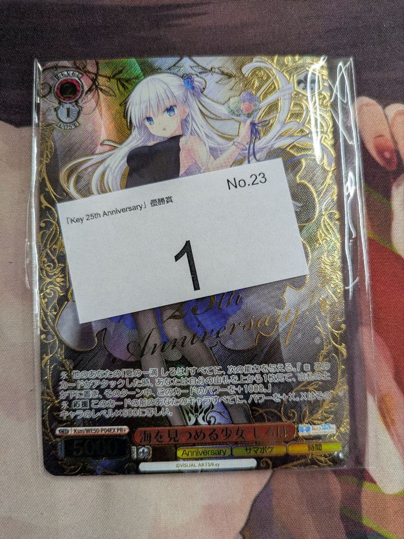 海を見つめる少女しろは PR+ CXチャレンジ key 優勝