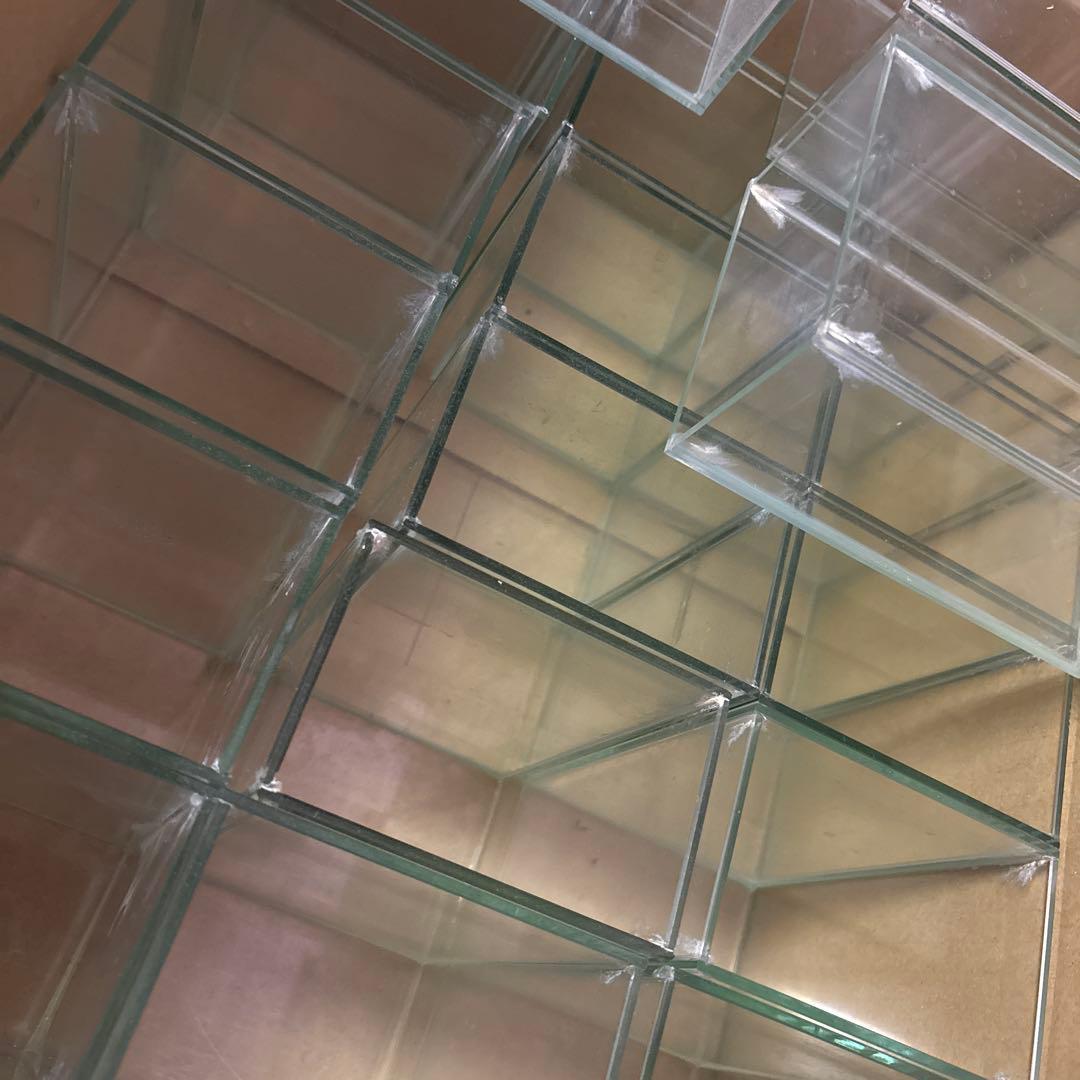 限定値引き　ベタコレクションケースS まとめ売り