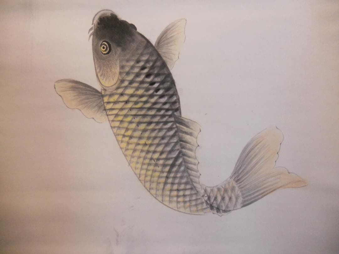 掛け軸 月秀 鯉の滝登り 紙本 希少 軸装 茶道具 掛軸 美品 です。