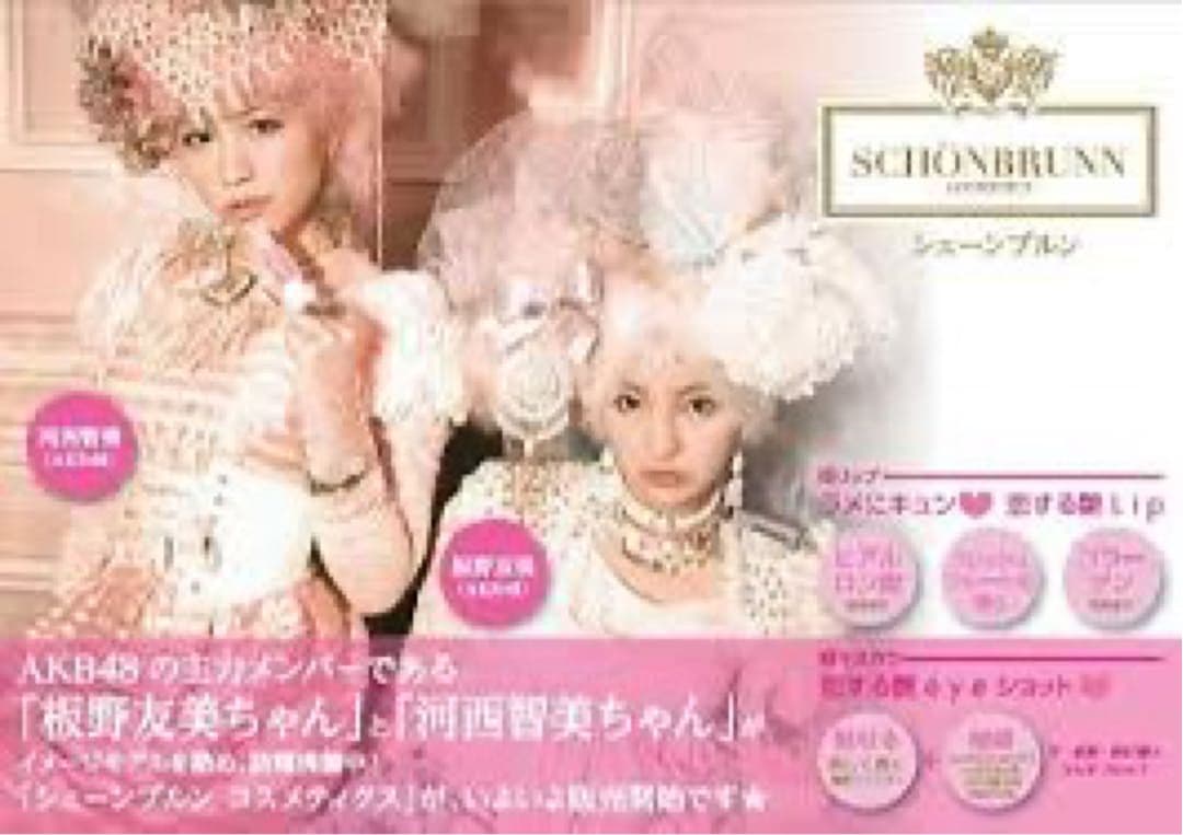 板野友美・河西智美　サイン色紙