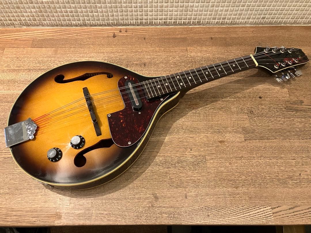 aria エレキマンドリン (Ritter ケース付き)