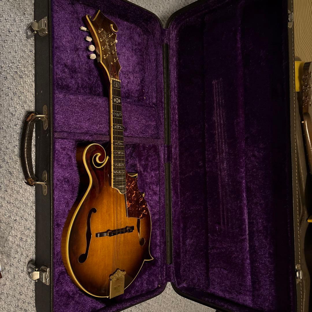 Samick Fタイプ フラットマンドリン ハードケース付き