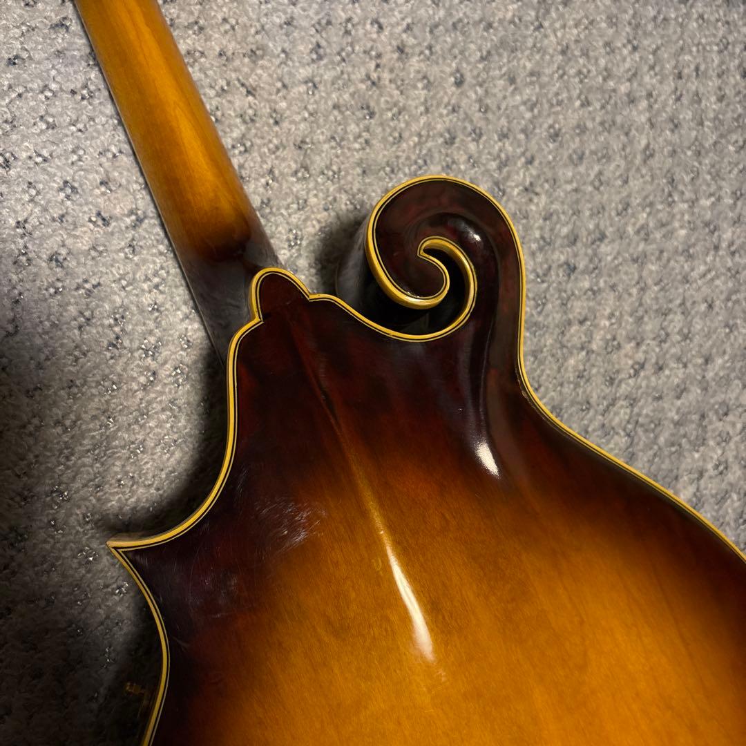 Samick Fタイプ フラットマンドリン ハードケース付き