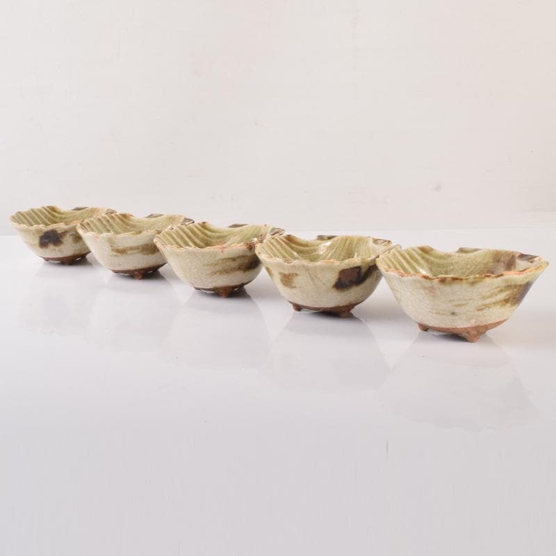 和食器　尾張　御深井焼焼　貝形向付　五客　時代箱付　M　R8097